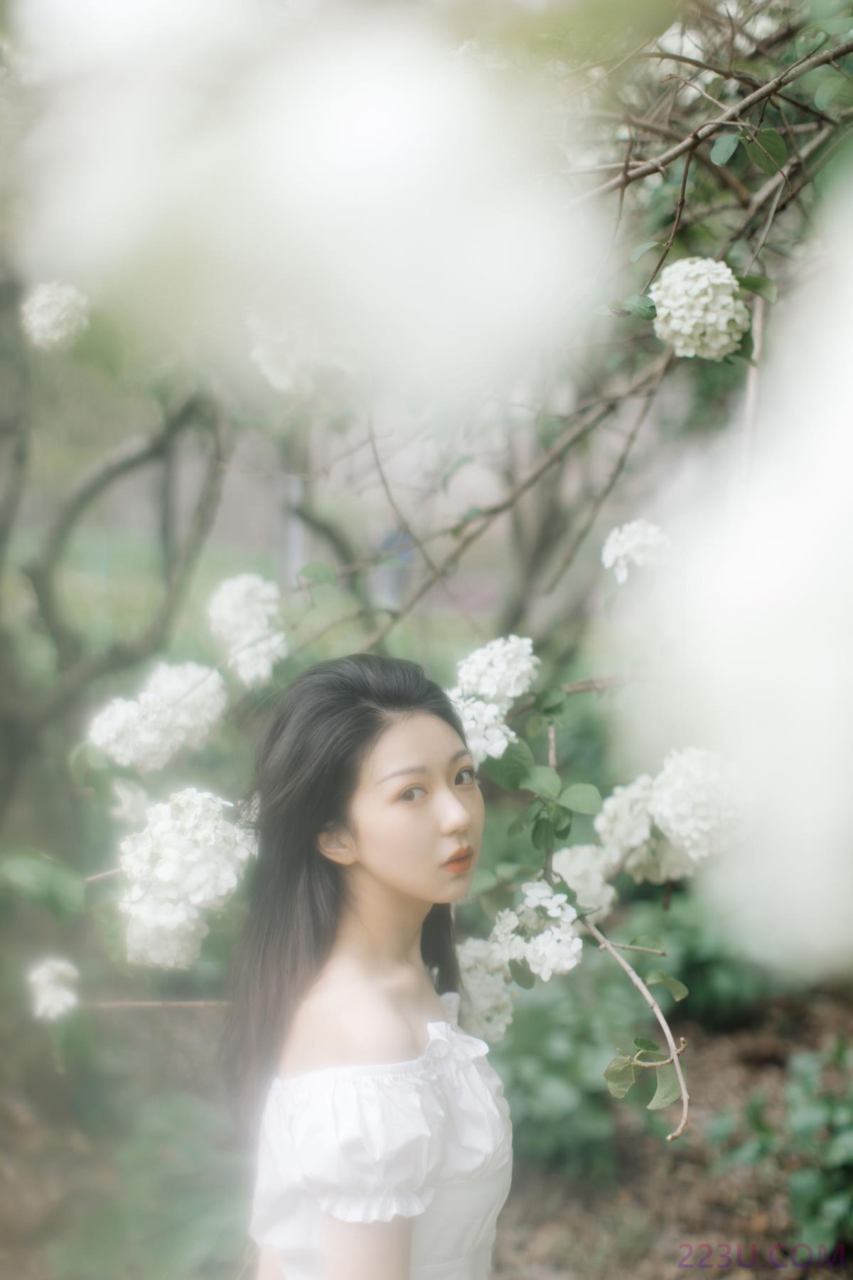 绣球花开 – 20P – 摄影：白杨 – 模特：小汤姆 - 福利组
