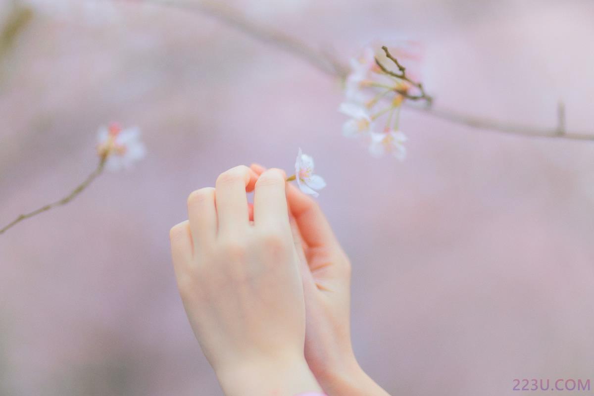 樱の物语 – 31P – 摄影：青卿 – 模特：猫夏小卡 - 福利组