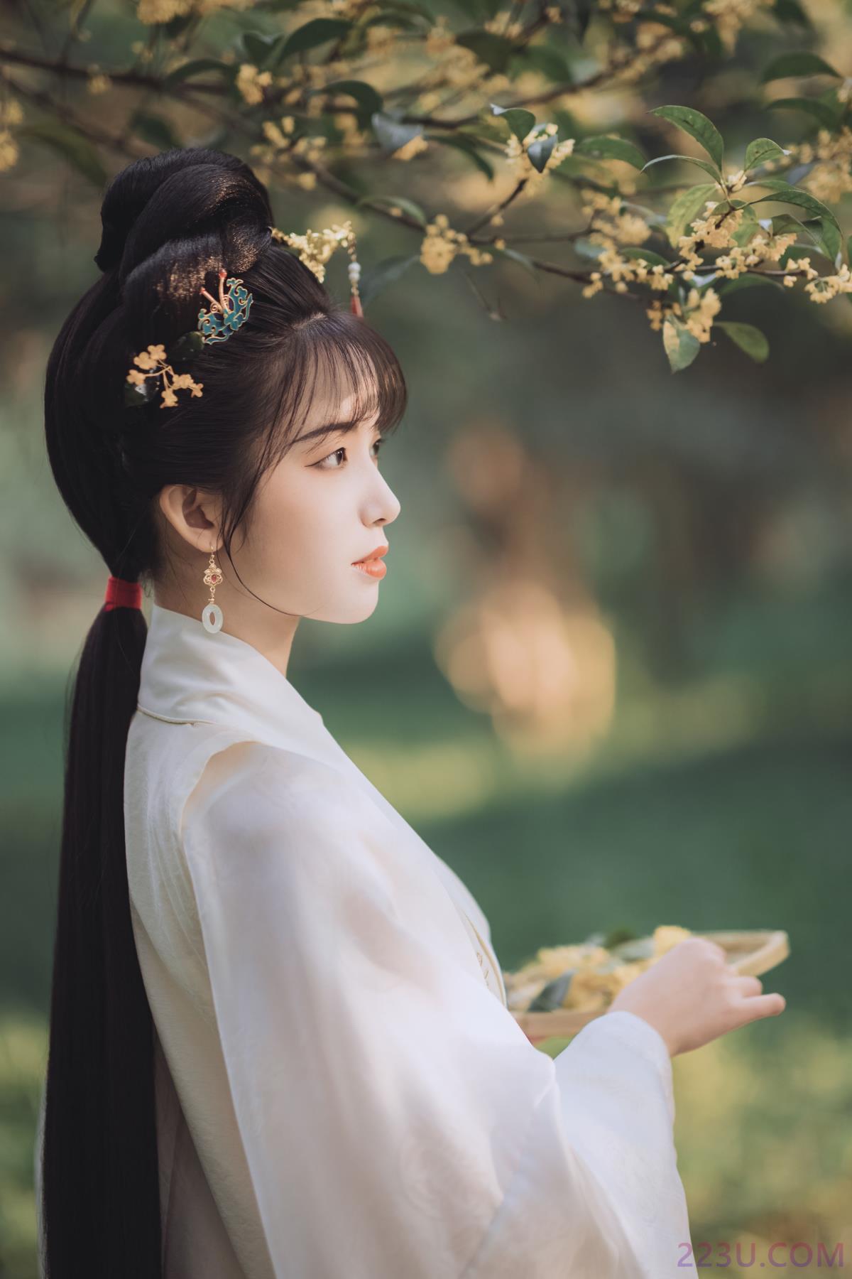 桂花酿 – 34P – 摄影：若寒Rock – 模特：一只阿梦崽 - 福利组