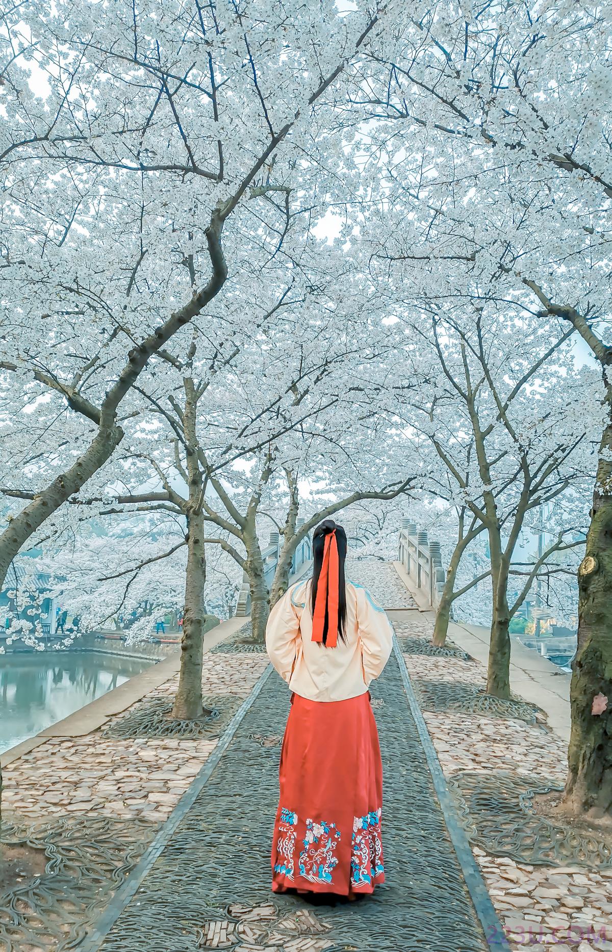 等一场春暖 待一树花开 – 18P – 摄影：悦香阁 – 模特：阿紫 - 福利组
