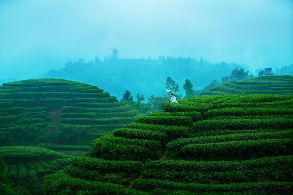 空山灵雨 – 25P – 摄影：摄影师不可说 – 模特：初茶 - 福利组