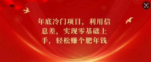 年底冷门项目，利用信息差，实现零基础上手，轻松赚个肥年钱【揭秘】 - 福利组