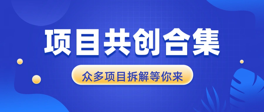 项目共创合集，从0-1全过程拆解，让你迅速找到适合自已的项目- 福利组