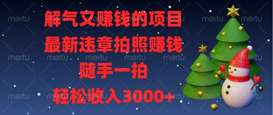 解气又赚钱的项目，最新违章拍照赚钱，随手一拍，轻松收入3000+ - 福利组