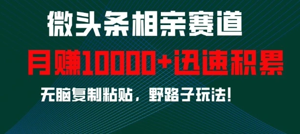 微头条相亲赛道，迅速积累，无脑复制粘贴，野路子玩法，月入1w- 福利组