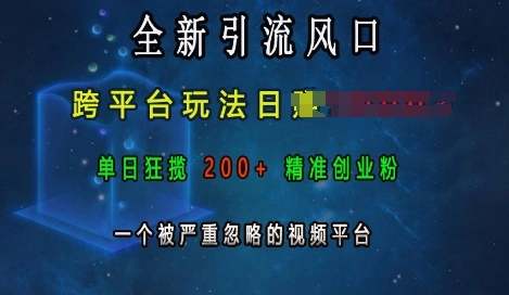 全新引流风口，跨平台玩法日入上k，单日狂揽200+精准创业粉，一个被严重忽略的视频平台 - 福利组