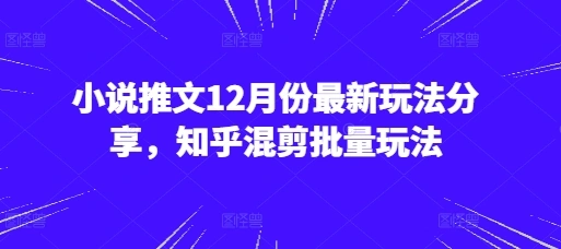 小说推文12月份最新玩法分享，知乎混剪批量玩法 - 福利组