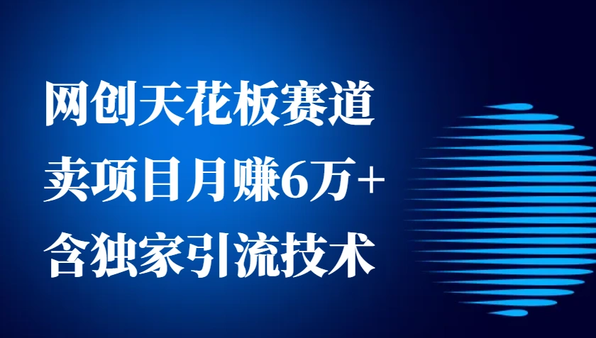 网创天花板赛道，卖项目月赚6万+，含独家引流技术(共26节课)- 福利组