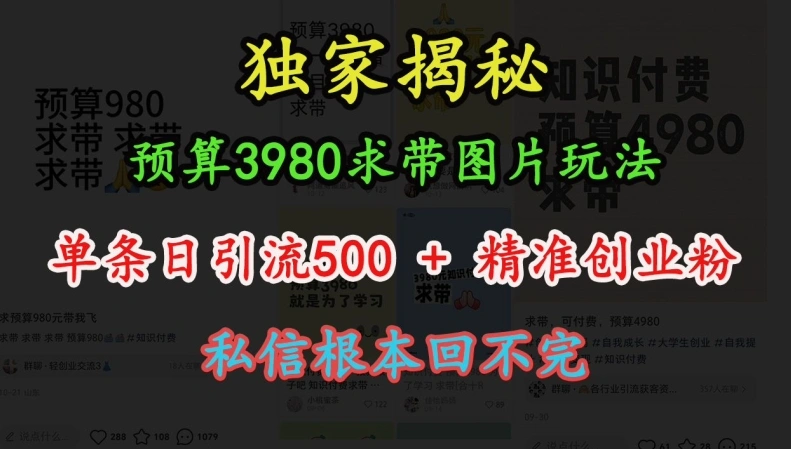 预算3980求带 图片玩法，单条日引流500+精准创业粉，私信根本回不完- 福利组