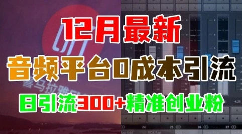 12月最新：音频平台0成本引流，日引流300+精准创业粉 - 福利组
