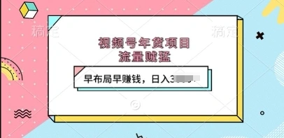 视频号年货项目，流量贼猛，早布局早挣钱，日入上k【揭秘】 - 福利组