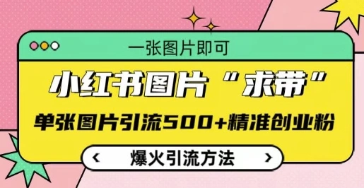 小红书图片‘求带’爆火引流法，单张图片引流500+精准创业粉【揭秘】- 福利组