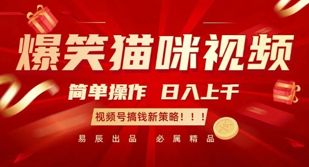 爆笑猫咪视频：简单操作，日入过K，视频号搞钱新策略【揭秘】 - 福利组