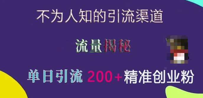 不为人知的引流渠道，流量揭秘，实测单日引流200+精准创业粉【揭秘】 - 福利组