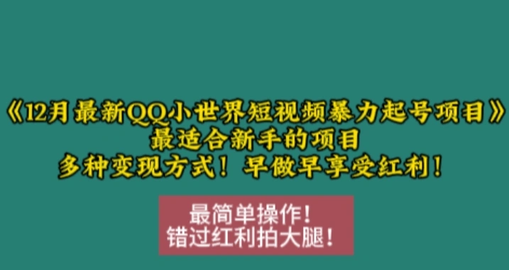 12月最新QQ小世界短视频暴力起号项目，最适合新手的项目，多种变现方式- 福利组