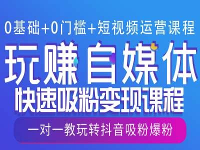 0基础+0门槛+短视频运营课程，玩赚自媒体快速吸粉变现课程，一对一教玩转抖音吸粉爆粉 - 福利组