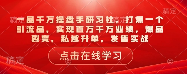 一品千万操盘手研习社，打爆一个引流品，实现百万千万业绩，爆品裂变，私域升单，发售实战- 福利组