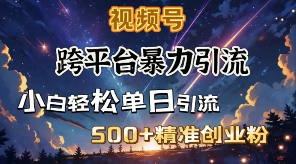 跨平台暴力引流，私域完美闭环，日引500+精准创业粉 - 福利组