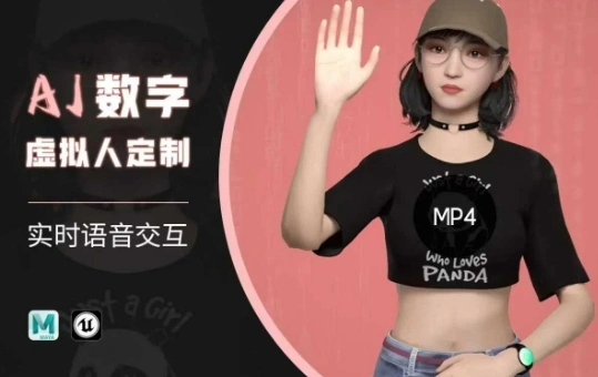 Ai数字人虚拟(智能体)实时语音交互特训营，?自行定制超写实角色AI数字人交互技术 - 福利组
