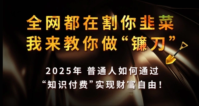 全网都在割你韭菜，我来教你做镰刀，2025年普通人如何通过 知识付费 实现财F自由【揭秘】 - 福利组