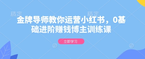 金牌导师教你运营小红书，0基础进阶赚钱博主训练课 - 福利组