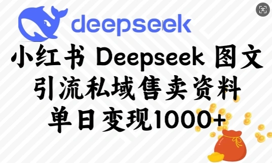 小红书Deepseek图文引流私域售卖资料，单日变现多张 - 福利组