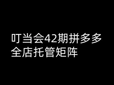 叮当会拼多多打爆班原创高阶技术第42期，拼多多全店托管矩阵 - 福利组