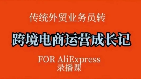 跨境电商速卖通运营课，?运营方法论+后台实操，逻辑清晰 - 福利组