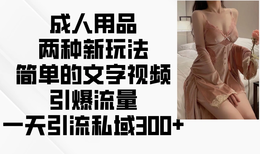 成人用品两种新玩法，简单的文字视频引爆流量，一天引流私域300+ - 福利组