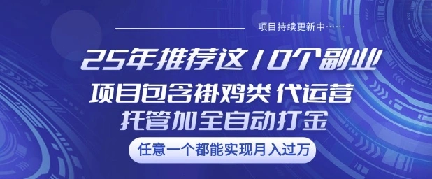 25年推荐这10个副业项目包含褂鸡类、代运营托管类、全自动打金类【揭秘】- 福利组