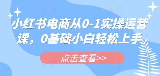 小红书电商从0-1实操运营课，0基础小白轻松上手 - 福利组