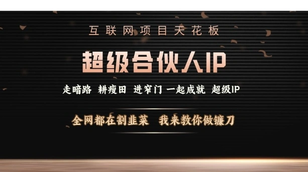 互联网项目天花板，超级合伙人IP，全网都在割韭菜，我来教你做镰刀【仅揭秘】 - 福利组