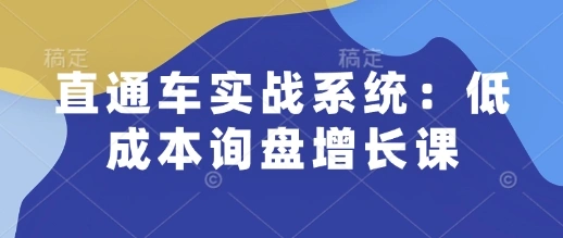 直通车实战系统：低成本询盘增长课，让个人通过技能实现升职加薪，让企业低成本获客，订单源源不断 - 福利组