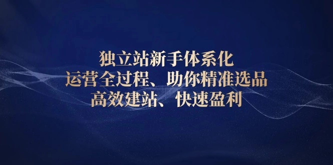 独立站新手体系化 运营全过程，助你精准选品、高效建站、快速盈利 - 福利组
