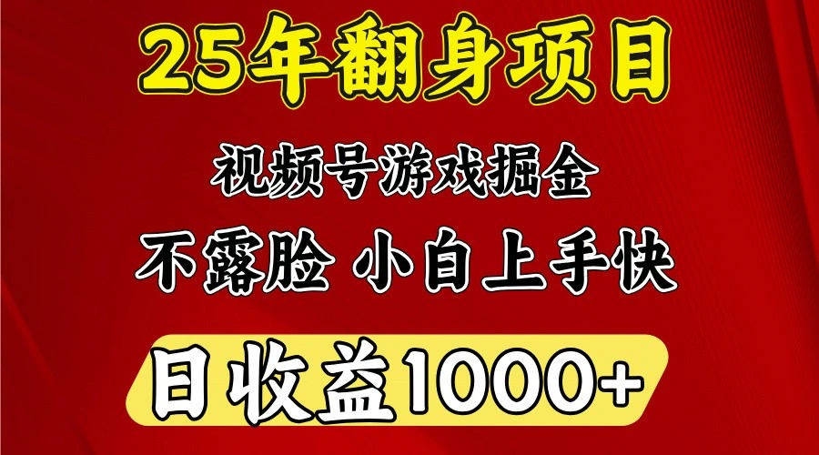 一天收益1000+ 25年开年落地好项目 - 福利组