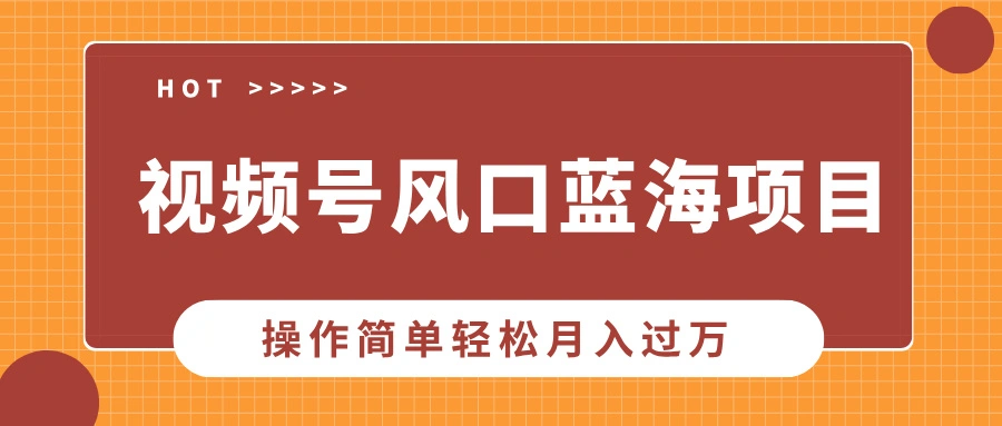 视频号风口蓝海项目，中老年人的流量密码，操作简单轻松月入过万 - 福利组