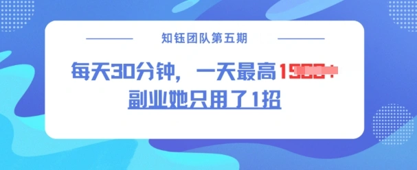 副业她只用了1招，每天30分钟，无脑二创，一天最高1.5k - 福利组