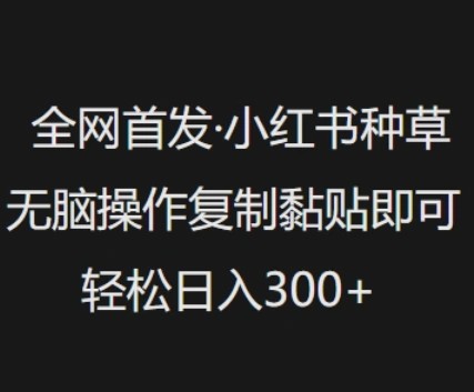 全网首发，小红书种草无脑操作，复制黏贴即可，轻松日入3张 - 福利组