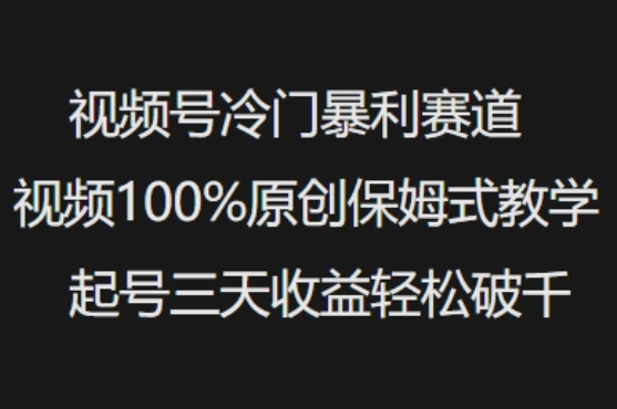 视频号冷门暴利赛道视频100%原创保姆式教学起号三天收益轻松破千 - 福利组