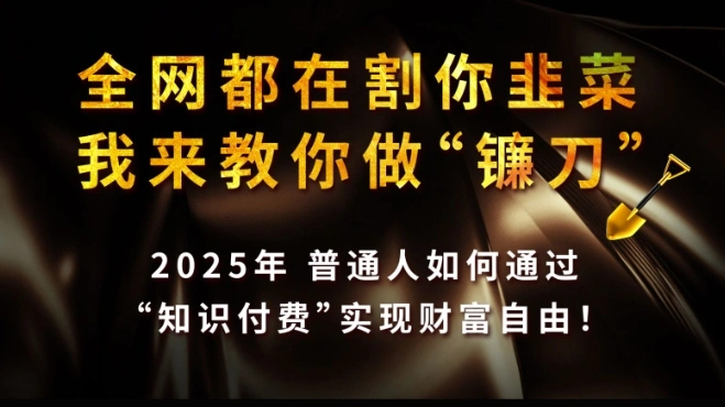 全网都在割你韭菜，我来教你做镰刀,2025普通人如何通过知识付费，实现财F自由【揭秘】 - 福利组