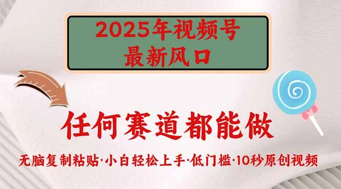 2025年视频号新风口，低门槛只需要无脑执行 - 福利组