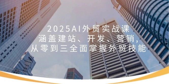 2025AI外贸实战课：涵盖建站、开发、营销, 从零到三全面掌握外贸技能 - 福利组