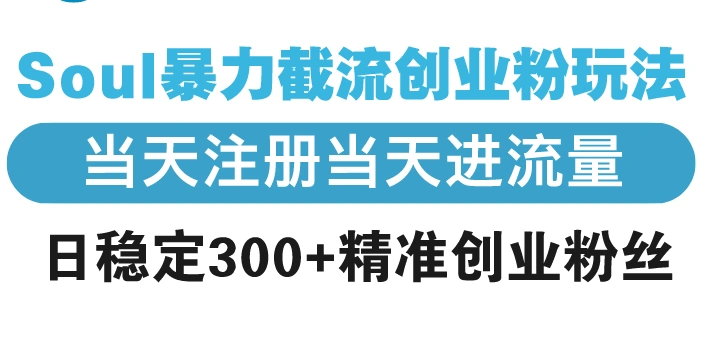 Soul暴力截流创业粉玩法，当天注册当天进流量，日稳定300+精准创业粉丝 - 福利组