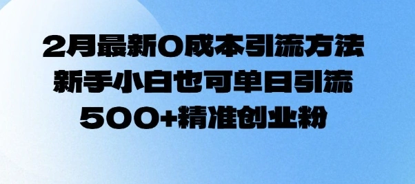 2月最新0成本引流方法，新手小白也可单日引流500+精准创业粉 - 福利组