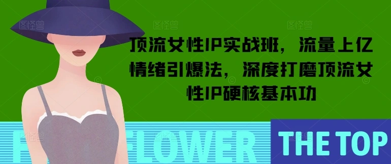 顶流女性IP实战班，流量上亿情绪引爆法，深度打磨顶流女性IP硬核基本功- 福利组