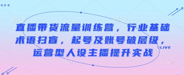 直播带货流量训练营，行业基础术语扫盲，起号及账号破层级，运营型人设主播提升实战 - 福利组