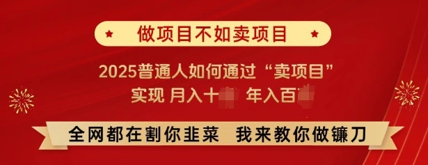 必看，做项目不如卖项目，2025普通人如何通过“卖项目”实现月入十个，年入百个 - 福利组
