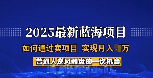 2025蓝海项目，普通人如何通过卖项目，实现月入过W，全过程【揭秘】 - 福利组