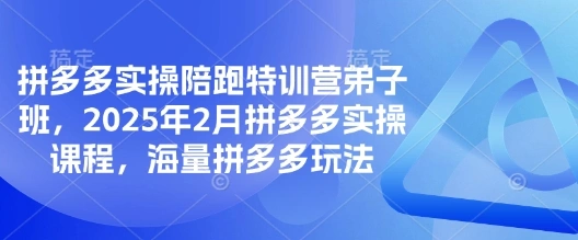 拼多多实操陪跑特训营弟子班，2025年2月拼多多实操课程，海量拼多多玩法 - 福利组