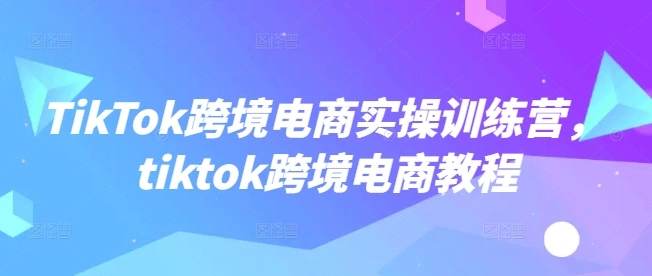 TikTok跨境电商实操训练营，tiktok跨境电商教程 - 福利组